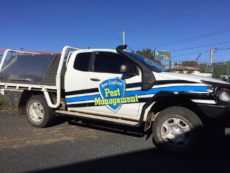 Armidale City Signs - NEPM