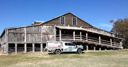 New England Pest Management - Truck