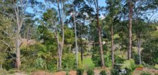 Stubbs Tree Services - Bushland