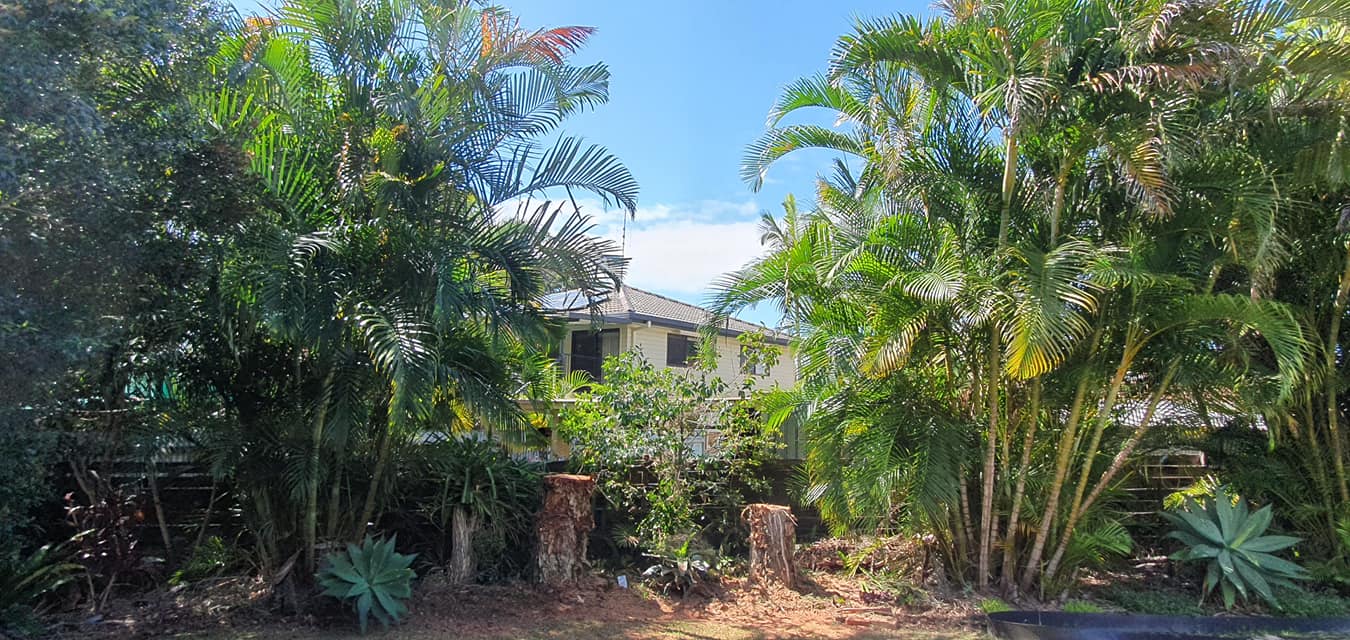 Stubbs Tree Services - House