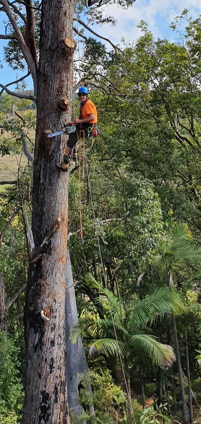 Stubbs Tree Services - Tree