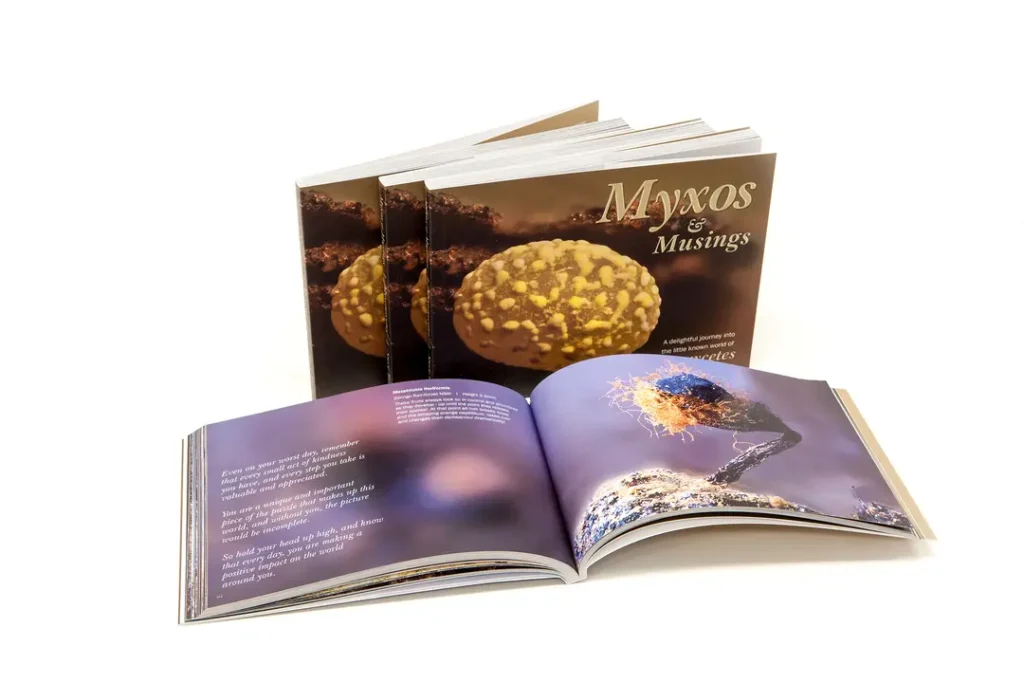 Myxos & Musings - Book Open to Page 95