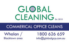 Global Cleaning - Business Card